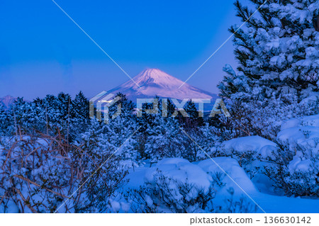 (Shizuoka Prefecture) Snowy scenery at Tokkoku Pass, with a view of Mt. Fuji (Shizuoka Prefecture) Snowy scenery at Tokkoku Pass, with a view of Mt. Fuji 136630142
