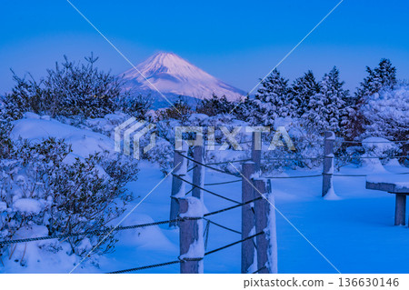 （靜岡縣）特國峠的雪景，可遠眺富士山 136630146