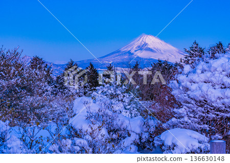 (Shizuoka Prefecture) Snowy scenery at Tokkoku Pass, with a view of Mt. Fuji (Shizuoka Prefecture) Snowy scenery at Tokkoku Pass, with a view of Mt. Fuji 136630148