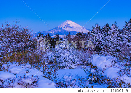 (靜岡縣)特國峠的雪景,可遠眺富士山 (靜岡縣)特國峠的雪景,可遠眺富士山 136630149