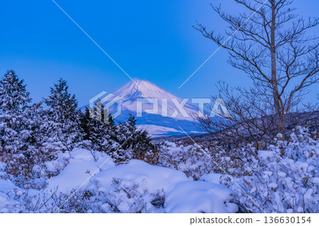 （靜岡縣）特國峠的雪景，可遠眺富士山 136630154