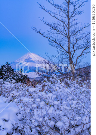 (Shizuoka Prefecture) Snowy scenery at Tokkoku Pass, with a view of Mt. Fuji (Shizuoka Prefecture) Snowy scenery at Tokkoku Pass, with a view of Mt. Fuji 136630156