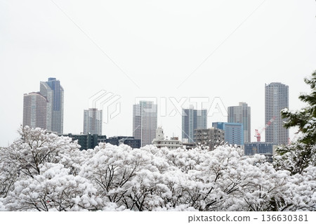 Musashi-Kosugi Tower Apartments on a Snowy Day | Toyoko Line, Meguro Line and Cityscape (Kawasaki, Tama River) 136630381