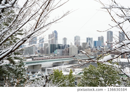 Musashi-Kosugi Tower Apartments on a Snowy Day | Toyoko Line, Meguro Line and Cityscape (Kawasaki, Tama River) 136630384