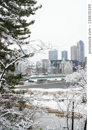 雪天的武藏小杉塔公寓 |東橫線、目黑線與城市景觀（川崎、多摩川） 136630389