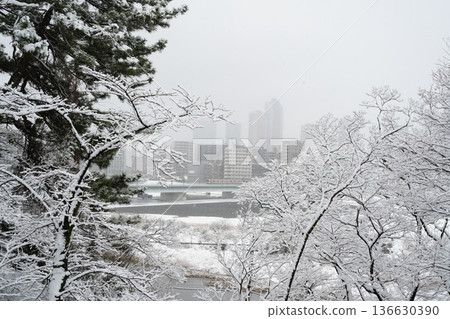 武藏小杉塔公寓被積雪和低能見度遮蔽 | 東橫線、目黑線及冬季城市景觀（玉川、丸小橋） 136630390
