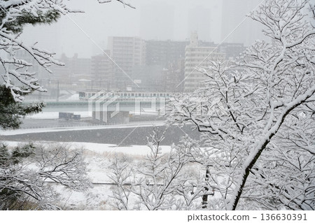 武藏小杉塔公寓被積雪和低能見度遮蔽 | 東橫線、目黑線及冬季城市景觀（玉川、丸小橋） 136630391
