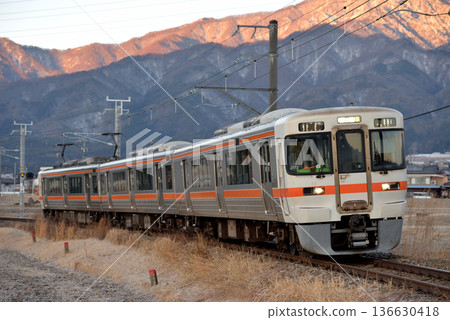 三列313系地方列車正在飯田線上運行。 136630418