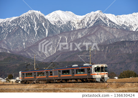 Two 313 series 3000 series local trains running on the Iida Line 136630424