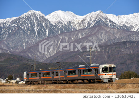 兩列313系和3000系地方列車正在飯田線上運行。 136630425