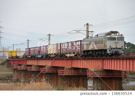 EF81303 container freight train running on the Nippo Main Line 136630524