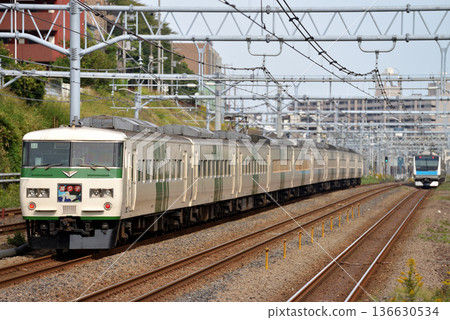 東海道線上的10節車廂185系特快列車“大鳥號”正在運行。 136630534