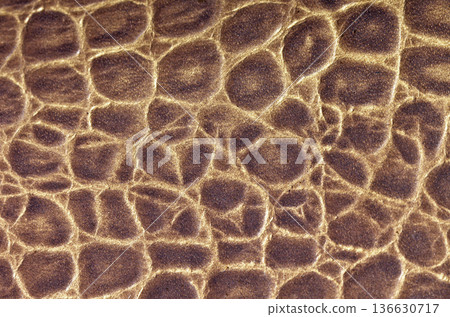 Brown textured leather background pattern 136630717