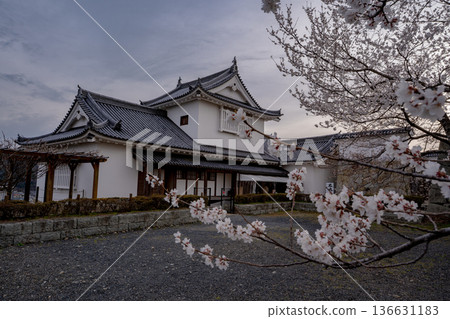 津山城的櫻花景色 136631183