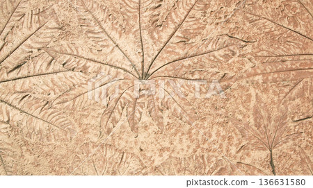leaf wall wallpaper design leaf wall wallpaper design 136631580