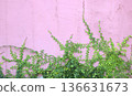 The Green Creeper 136631673