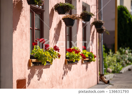 European building adorned with blooming red geraniums in window boxes European building adorned with blooming red geraniums in window boxes 136631793