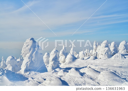 藏王雪怪 | 山形縣雪山壯麗冬日景色 藏王雪怪 | 山形縣雪山壯麗冬日景色 136631963