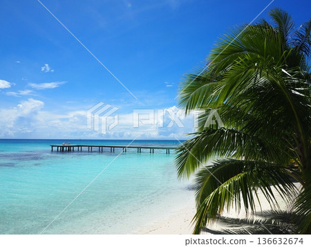 Turquoise waters of Tahiti | Tropical paradise with palm trees, a pier and coral reefs (Fakarava) Turquoise waters of Tahiti | Tropical paradise with palm trees, a pier and coral reefs (Fakarava) 136632674