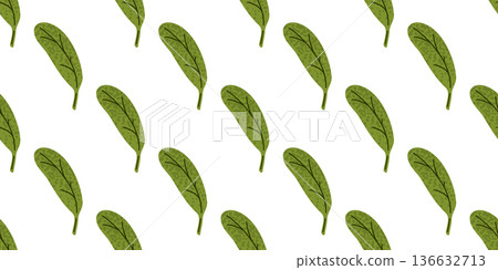 Spinach Leaf Seamless Food Pattern 136632713