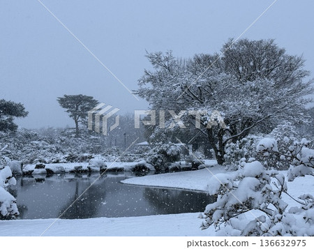 Snow-covered pond in a Japanese garden Winter natural scenery Quiet snow scene Snow-covered pond in a Japanese garden Winter natural scenery Quiet snow scene 136632975