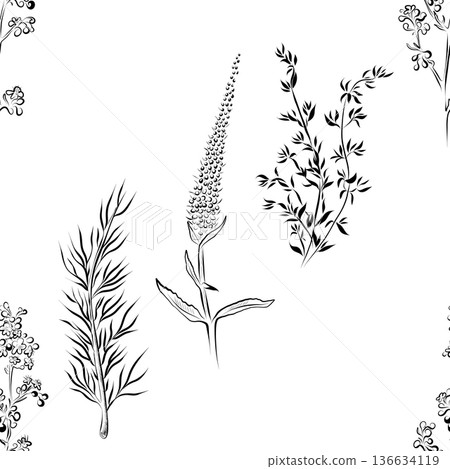 A seamless pattern of line drawings featuring a set of herbs. Minimalistic A seamless pattern of line drawings featuring a set of herbs. Minimalistic 136634119