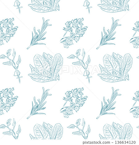 A seamless pattern of line drawings depicting herbs and lettuce leaves. A seamless pattern of line drawings depicting herbs and lettuce leaves. 136634120