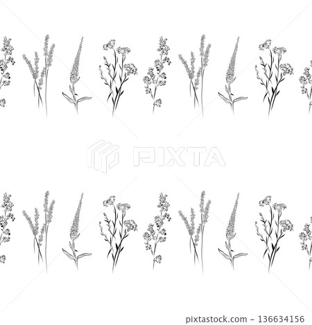 A seamless pattern of line drawings featuring a set of herbs and flowers. A seamless pattern of line drawings featuring a set of herbs and flowers. 136634156