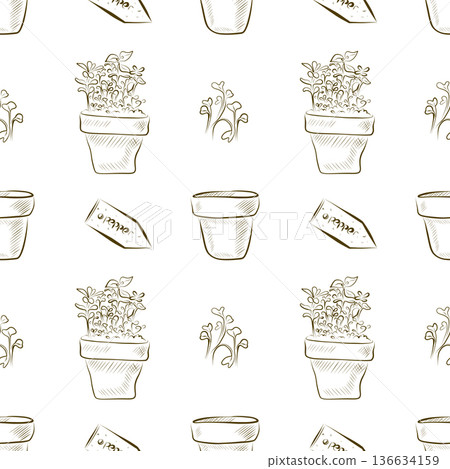 Seamless pattern of linear drawings a pot with sprouts, a sign PEPPER. Seamless pattern of linear drawings a pot with sprouts, a sign PEPPER. 136634159