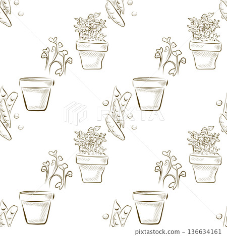 Seamless pattern of linear drawings of a pot with sprouts and peas. Minimalistic illustration. Seamless pattern of linear drawings of a pot with sprouts and peas. Minimalistic illustration. 136634161