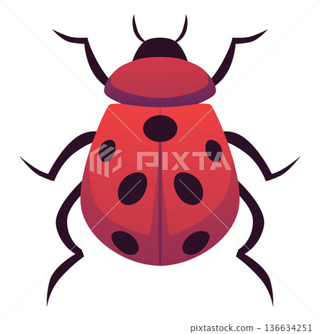 Ladybug or ladybird insect top view flat vector icon, cartoon red beetle with black dots pattern on the wings isolated Ladybug or ladybird insect top view flat vector icon, cartoon red beetle with black dots pattern on the wings isolated 136634251