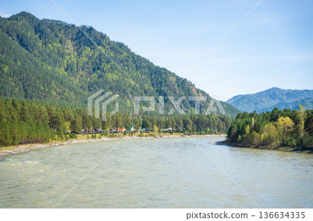 Katun river flowing through Altai mountains Russia. Scenic freshwater river in Siberian mountainous landscape. 136634335