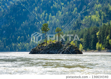 Bear Island located on Katun river in Altai Russia. Scenic river island surrounded by mountain waters and natural landscape. Bear Island located on Katun river in Altai Russia. Scenic river island surrounded by mountain waters and natural landscape. 136634340