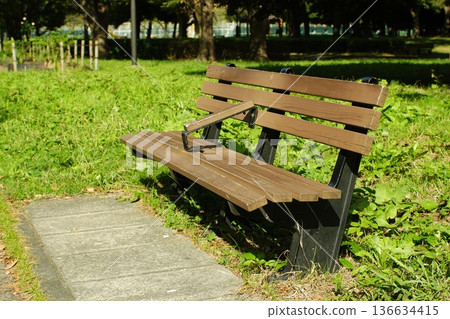 A wooden bench in a park bathed in soft sunlight filtering through the trees A wooden bench in a park bathed in soft sunlight filtering through the trees 136634415