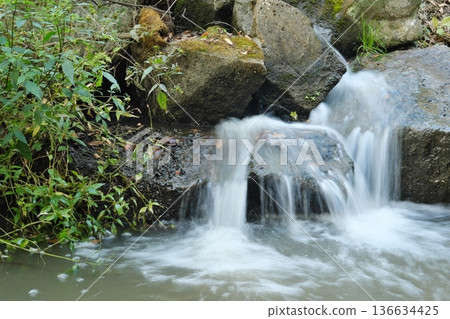 Clear water flowing over rocks and green vegetation Clear water flowing over rocks and green vegetation 136634425