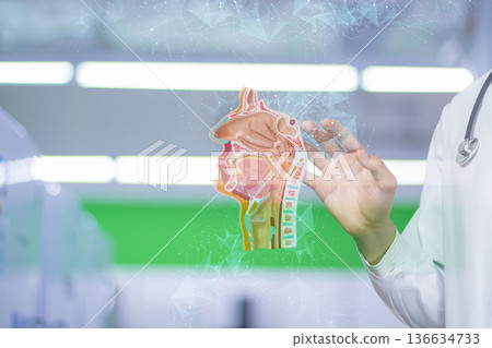 Knee anatomy wonders Knee anatomy wonders 136634733