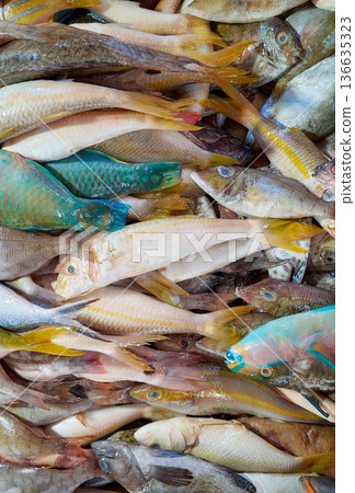 Freshly caught sea fish at a market, Borneo, Malaysia. Freshly caught sea fish at a market, Borneo, Malaysia. 136635323