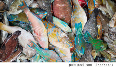 Freshly caught sea fish at a market, Borneo, Malaysia. Freshly caught sea fish at a market, Borneo, Malaysia. 136635324