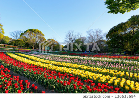 世博會紀念公園廣闊的花田 世博會紀念公園廣闊的花田 136635694