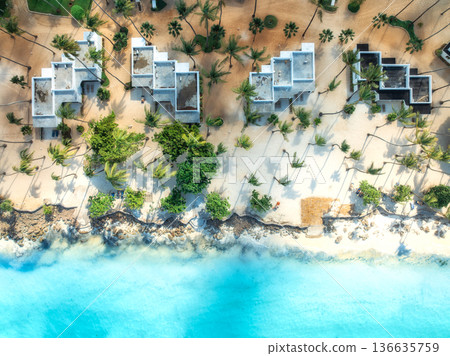 Aerial view of palm trees, umbrellas on the sandy beach, blue sea Aerial view of palm trees, umbrellas on the sandy beach, blue sea 136635759