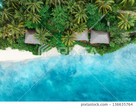 Aerial view of palms, bungalows, sandy beach, sea with waves 136635764