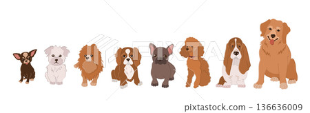 Flat Dog Breeds Set. Flat Dog Breeds Set. 136636009