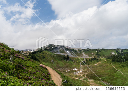 Nature of mixed forest. Landscape of scenery nature. Scenic landscape woodland. Hill landscape with forest. Nature mountain forest. Green forest wood landscape in mountain. Wild pine grove Nature of mixed forest. Landscape of scenery nature. Scenic landscape woodland. Hill landscape with forest. Nature mountain forest. Green forest wood landscape in mountain. Wild pine grove 136636553