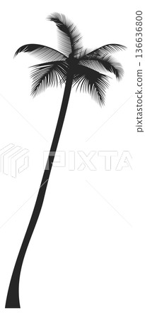 Tropical nature plant black icon. Beach palm Tropical nature plant black icon. Beach palm 136636800