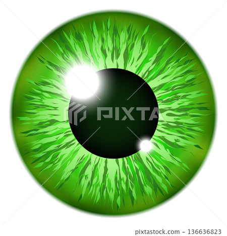 Green iris eye. Beautiful realistic eyeball icon Green iris eye. Beautiful realistic eyeball icon 136636823