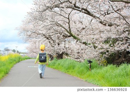 背著書包的小學生 136636928