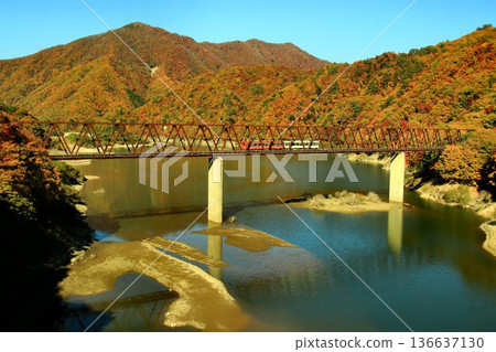 穿越秋葉斑斕的湯西川大橋…秋色宜人的南會津火車之旅【會津山快車】 136637130