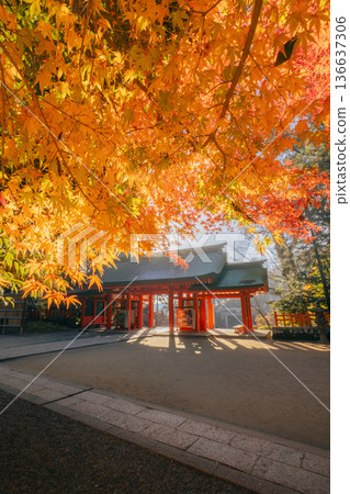 香取神社正門與秋葉 136637306
