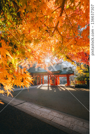 香取神社正門與秋葉 136637307