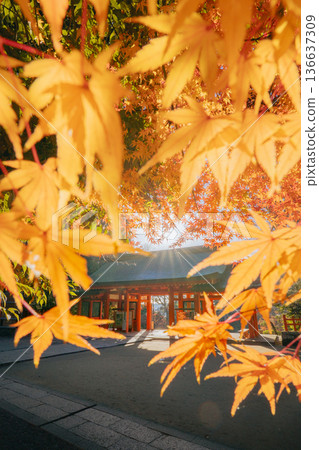 香取神社正門與秋葉 香取神社正門與秋葉 136637309